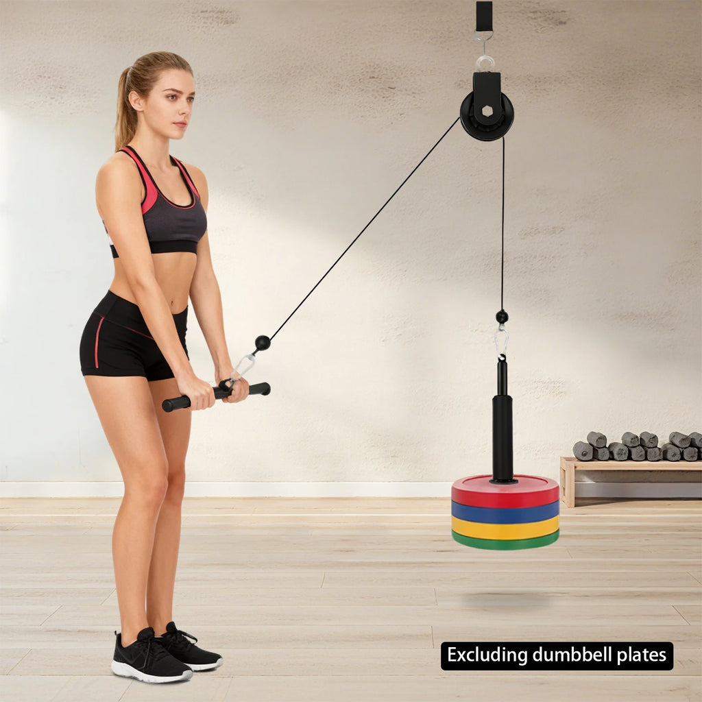Rope System Gym,