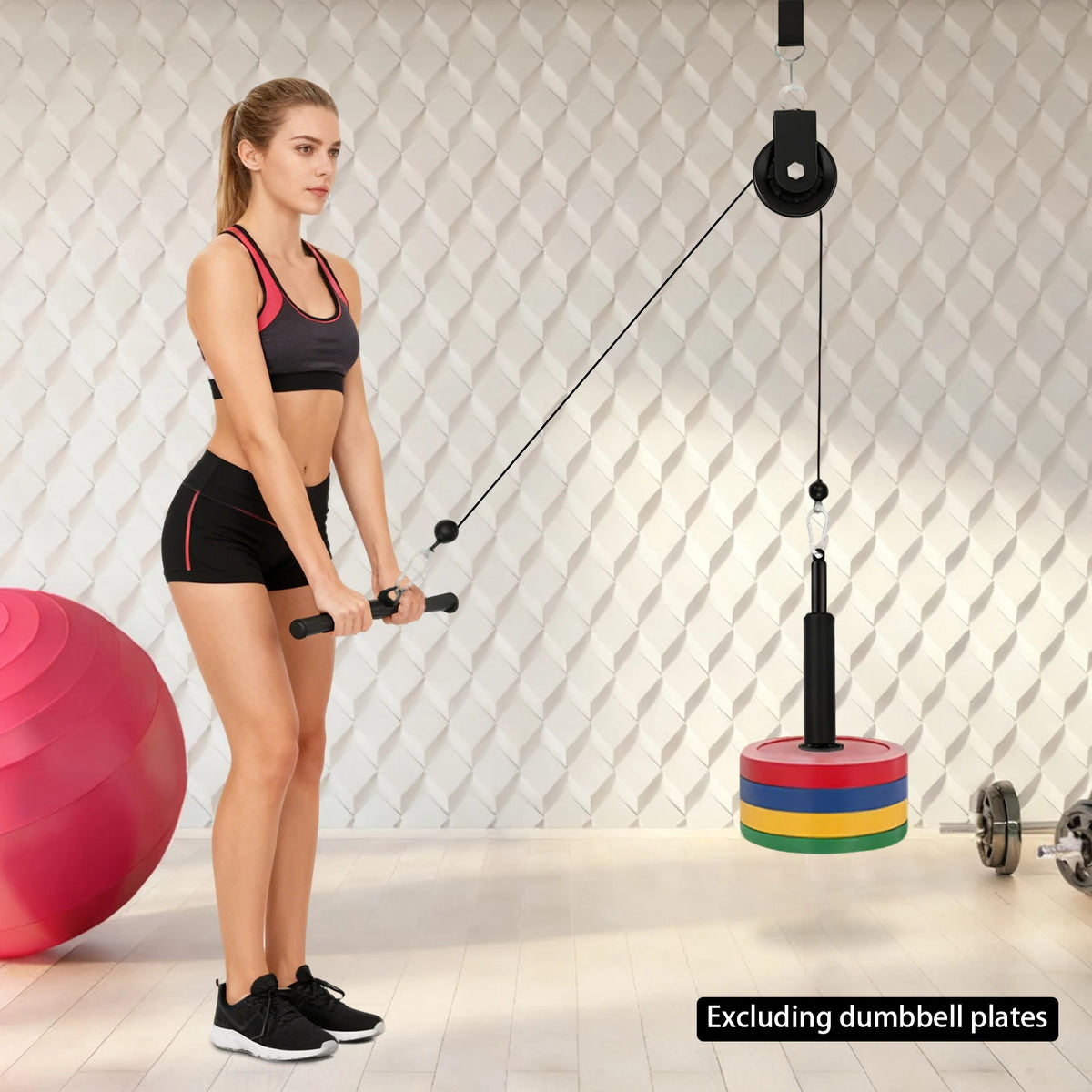 Rope System Gym,