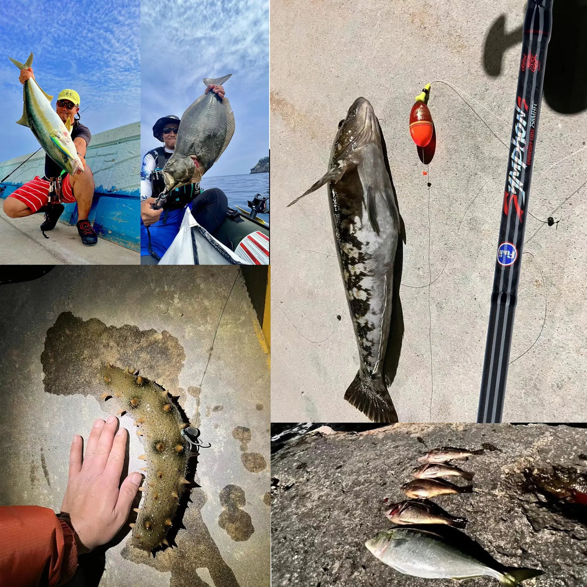 Spinning Mini Rock Fishing Rod