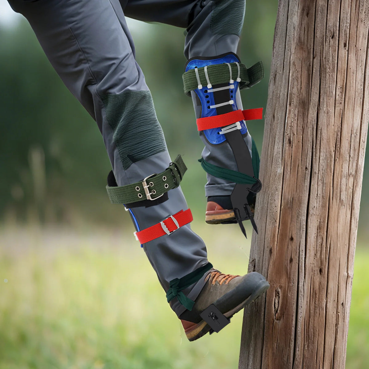 Tree Climbing Tools Set, Heavy Duty Carbon Steel Climbing Spikes with Safety Belt and Rope,