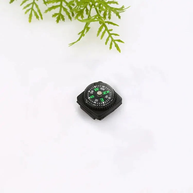 Small Outdoor Compass