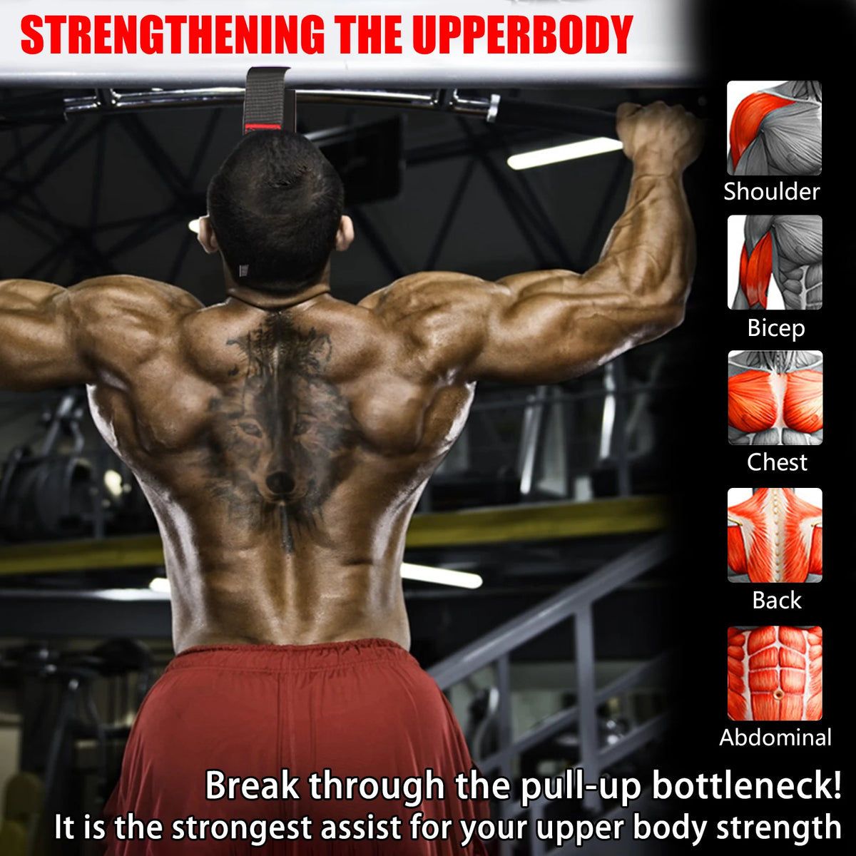 Pull Up Assistance Bands
