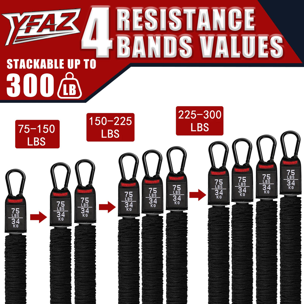 Pull Up Assistance Bands