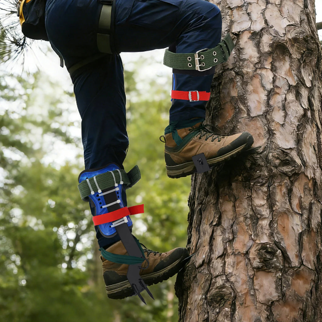 Tree Climbing Tools Set, Heavy Duty Carbon Steel Climbing Spikes with Safety Belt and Rope,